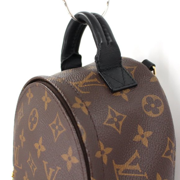 Louis Vuitton Monogram Palm Springs Mini Backpack Brown Black Cowhide Trim Bag - Picture 3 of 13